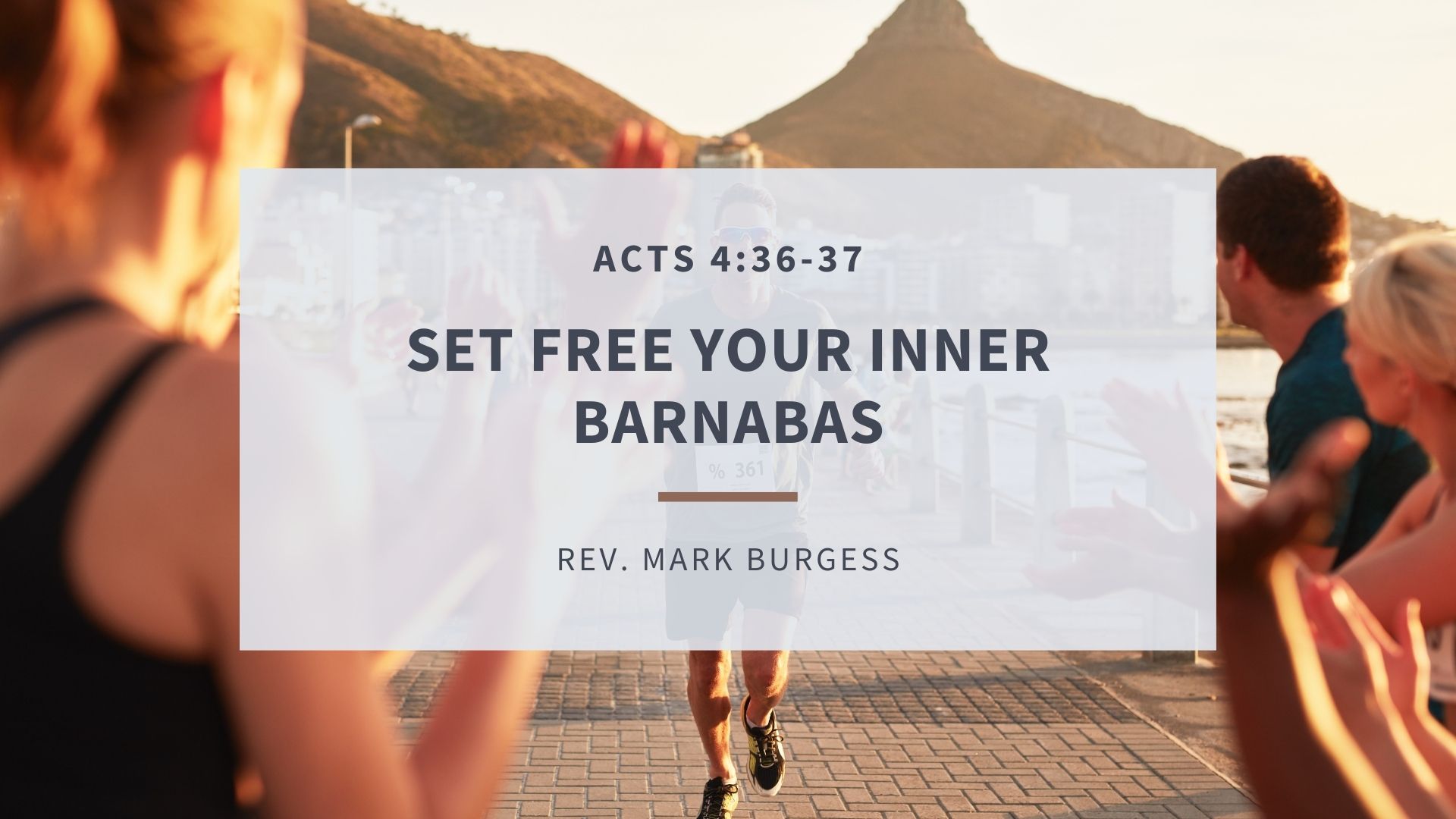 Set Free Your Inner Barnabus