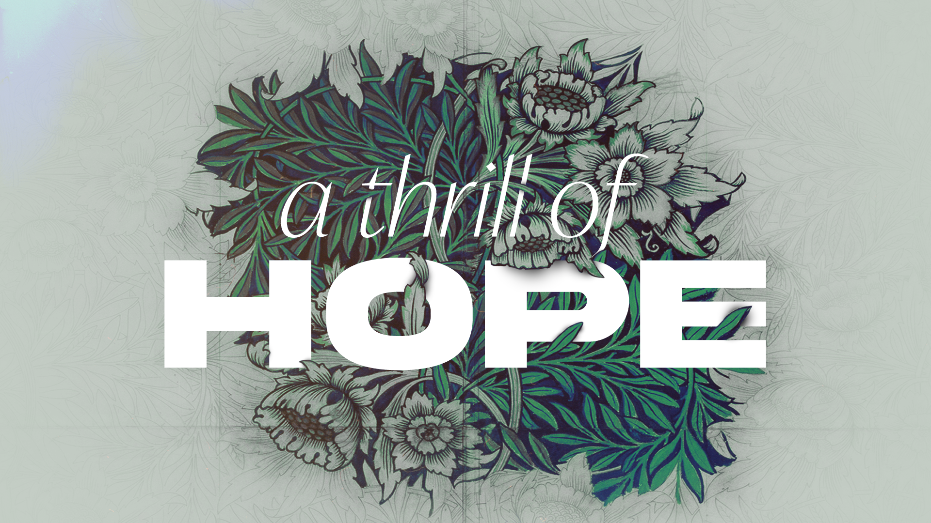 A Thrill of Hope | Week 1