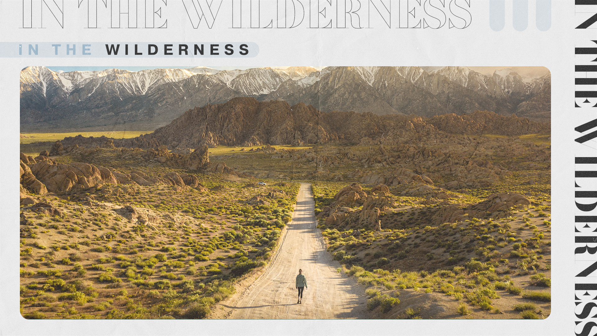 In The Wilderness |  Week 1